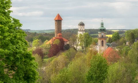Bodenreinigung in Auerbach/Vogtland