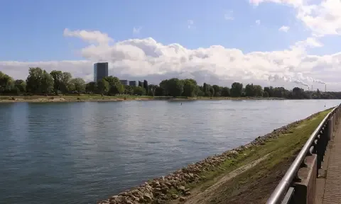 Ludwigshafen am Rhein Zemin Temizliği